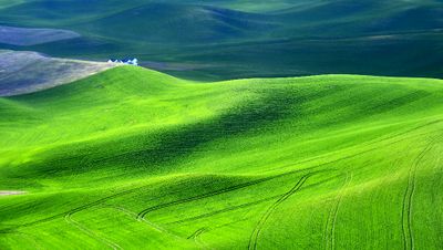 Rolling Hills of The Palouse by Pullman Airport, Washington 748 