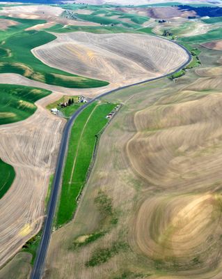 Aimota Road and Penawawa Creek in Palouse Hills, Colfax, Washington 378 