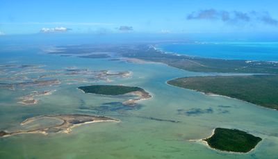 The Abaco Maris National Reserve, Dry Cay, Treasure Cay, Great Abaco, Marsh Harbour, Bahamas 247 