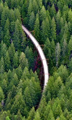 Hansen Creek Railroad Trestle, Iron Horse Trail, North Bend Washington 129