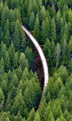 Hansen Creek Railroad Trestle, Iron Horse Trail, North Bend Washington 129  