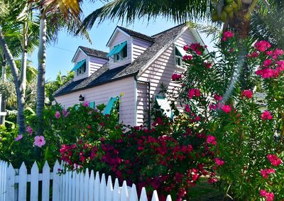 Pink House and Colorful Garden on Back Street, Hope Town, Elbow Cay, Bahamas 642  