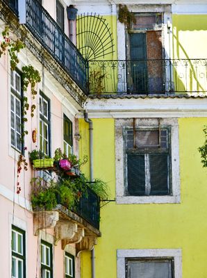 Balcony Garden on Building in Lisbon, Portugal 088