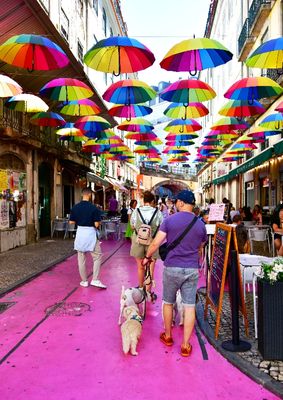 Pink Street Tourists and Umbrella, Lisbon, Portugal 046