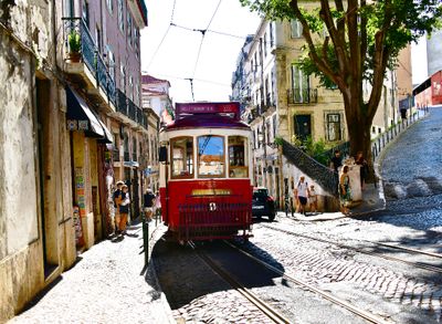 Hills Tramcar Tour Tram on Largo Sao Martinho and Rua da Saudade, Lisbon, Portugal 509