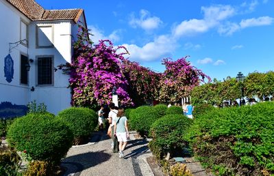 Church of St. Stephen Garden, Viewpoint of Santa Luzia, Lisbon