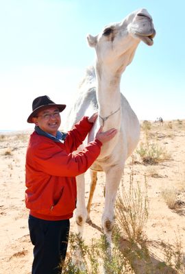 Posing with white Camel at Alghat, Saudi Arabia 486 Large e-mail view.jpg