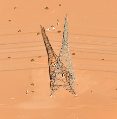 White Camels and Transmission Tower, Ushairat Sudar, Saudi Arabia 901