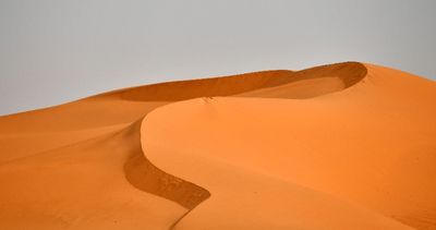 Nofa Wildlife Park, Tibrak, Saudi Arabia 
