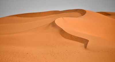 Desert of Nofa Wildlife Park, KSA 2784