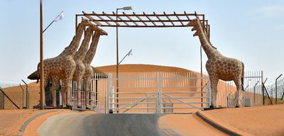 Giraffe Gate, Nofa Wildlife Park, KSA 2654