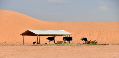 Nofa Wildlife Park, Tibrak Saudi Arabia 2663