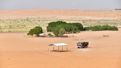 Nofa Wildlife Park, Tibrak Saudi Arabia 3282