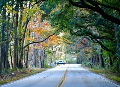 SOUTH CAROLINA - THE PALMETTO STATE