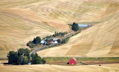 Palouse Hills Washington 259