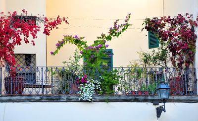 Balcony Garden in Florence, Italy 437