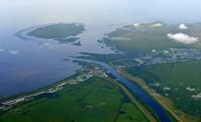 Buckhead Ridge, Beetle Spin Cove, Kissimimee River, North Lake Shoal, Lake Okeechobee, Florida 255