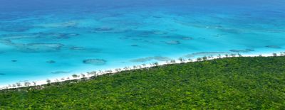 Colorful Landscape on Little San Salvador Island, Bahamas 377