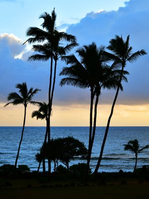 First Morning on Kauai, Wailua Bay, Kapaa, Kauai, Hawaii 009 