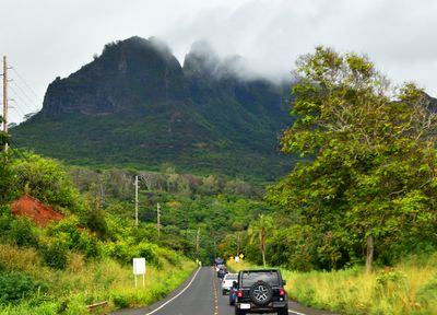 Kalalea Mountain, Kalalea Creaters, Huhio Hwy, Anahola Cafe, Kauai, Hawaii 112 