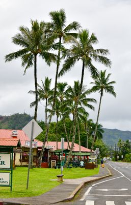 Hanalei Center, Kuhio Highway, Hanalei, Kauai, Hawaii 238  