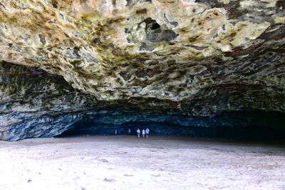 Maniniholo Dry Cave, Kuio Highway, Kilauea, Hawaii 268 