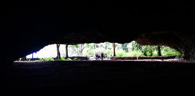 Maniniholo Dry Cave, Kuio Highway, Kilauea, Hawaii 281  