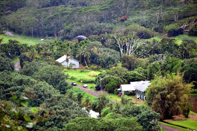 Hanalei Valley Lookout, Hanalei National Wildlife Refuge, Ohiki Road, Kauai Hawaii 3179  