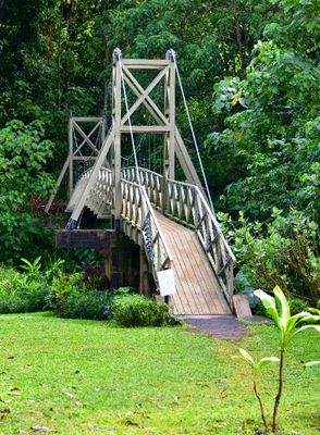Kapaia Swinging Bridge, Hanama'ulu Stream, Lihue, Kauai, Hawaii 335  