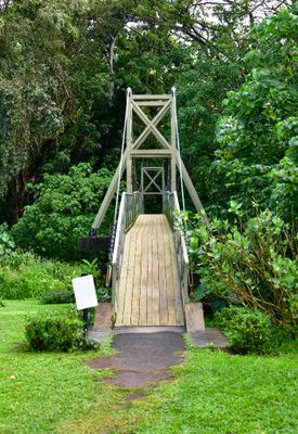 Kapaia Swinging Bridge, Hanama'ulu Stream, Lihue, Kauai, Hawaii 343  