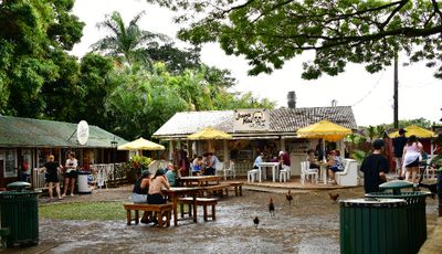 Java Kai, Old Koloa Town, Kauai, Hawaii 460  
