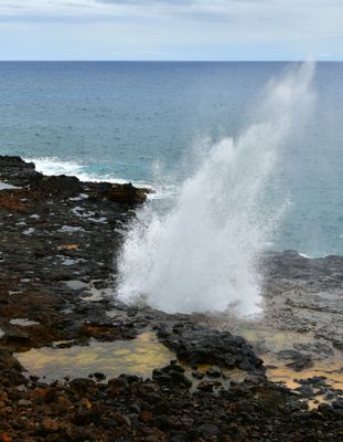 Spouting Horn Park, Lawai Rd, Koloa, Hawaii 504  