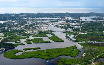 Anclote River, Tarpon Bayou, Tarpon Springs, Florida 214