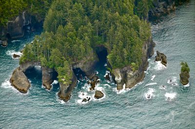 Cape Flattery, Olympic Peninsula, Washington 435