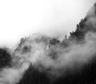 g13/96/635896/3/175606060.f8a1e8e6.JPEG