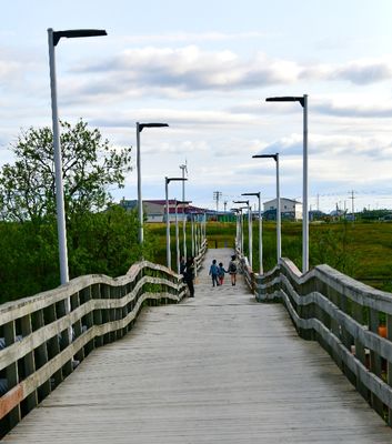 Elevated Walkway across permafrost landscape, Bethel, Alaska 005