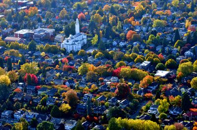 Autumn Foliage around St. Joseph Parish and School, Capitol Hill Seattle 362