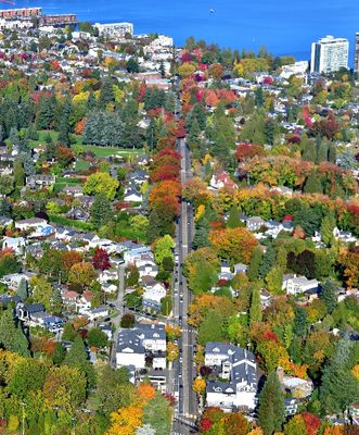Autumn Colors in Madison Park and E Madison St, Lake Washington, Seattle, Washington 417