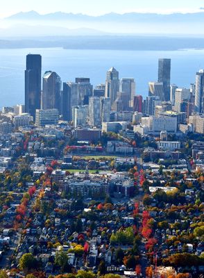 Garfield High School and Fall Colors along E Jefferson St and E Cherry St to Seattle University, Smith Tower, Seattle Skyline, P