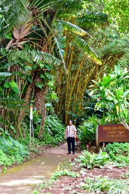 Wailua River State Park Fern Grotto, Kauai, Hawaii 904