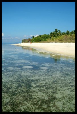 east of Roxas, Palawan