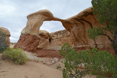 DSC_3018_ps1200b.jpg