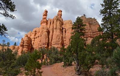 DSC_3066_ps1200a.jpg