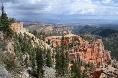 DSC_3033_ps1200a.jpg