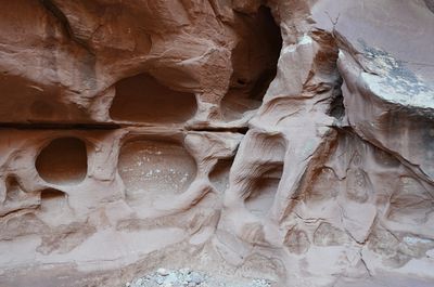 DSC_2724_ps1200a.jpg