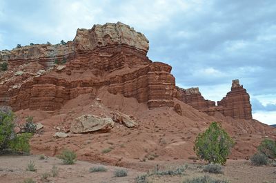 DSC_2802_ps1200a.jpg