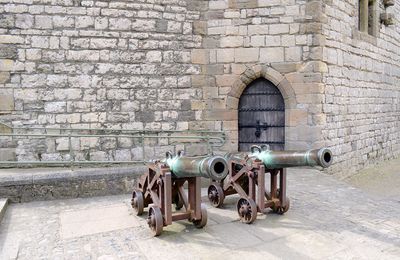 Caernarvon castle