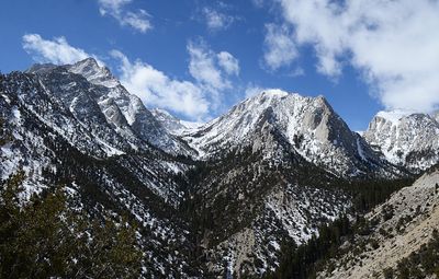DSC_4435_ps1500b.jpg