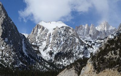 DSC_4447_ps1500b.jpg