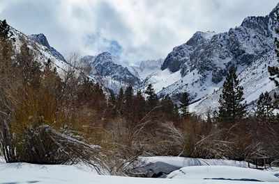 DSC_4597_ps1500b.jpg